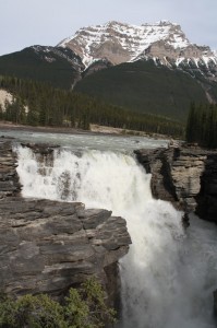 Athabasca Falls